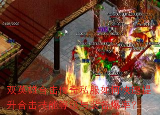 ˫Ӣ�ۺϻ�����˽����ο��������ϻ����ܵȼ���װ�����ʣ�