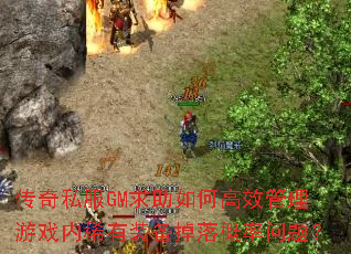 传奇私服GM求助如何高效管理游戏内稀有装备掉落概率问题? 传奇私服GM求助如何高效管理游戏内稀有装备掉落概率问题?