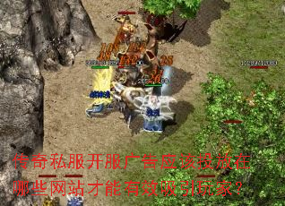 ����˽���������Ӧ��Ͷ������Щ��վ������Ч������ң�