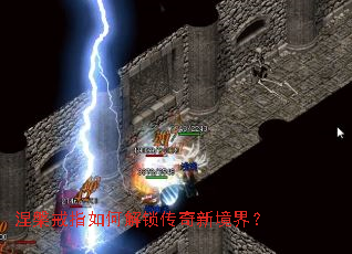 ������ָ��ν��������¾��磿