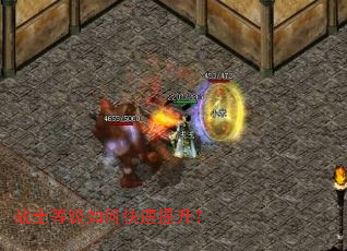 սʿ�ȼ���ο���������