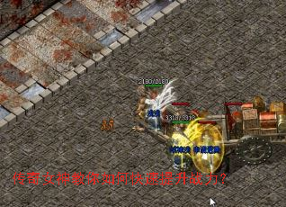 ����Ů�������ο�������ս����