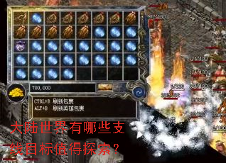 ��½��������Щ֧��Ŀ��ֵ��̽����