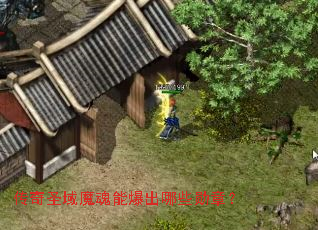 ����ʥ��ħ���ܱ�����Щѫ�£�