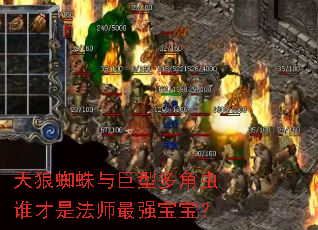 ����֩������Ͷ�ǳ�˭���Ƿ�ʦ��ǿ������