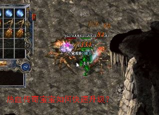 热血传奇宝宝如何快速升级? 热血传奇宝宝如何快速升级?