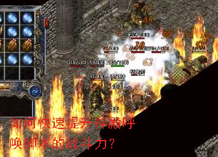 ��ο��������������ű���ս������