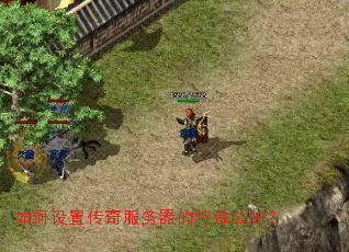 ������ô�������������⹫�棿