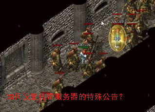 ������ô�������������⹫�棿