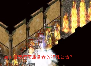 ������ô�������������⹫�棿