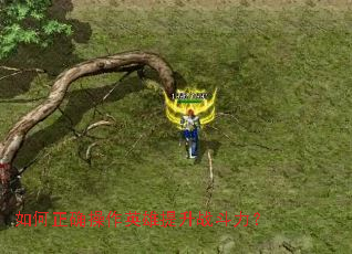 �����ȷ����Ӣ������ս������