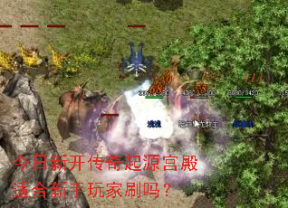 �����¿�������Դ�����ʺ��������ˢ��