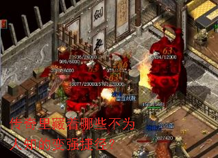 �����������Щ��Ϊ��֪�ı�ǿ�ݾ���