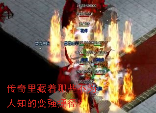 �����������Щ��Ϊ��֪�ı�ǿ�ݾ���