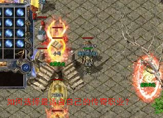 ���ѡ�����ʺ��Լ��Ĵ���ְҵ��