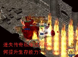 ��ʧ����˽����ʦ�����������������