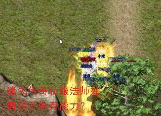 ��ʧ����˽����ʦ�����������������