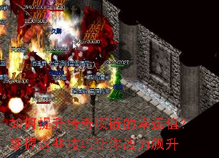 ���������������������ֵ��������Щ��������ս�����