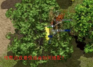 ������Ϸ��ǿ�����δ��䣿