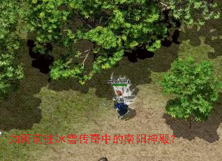 ���ǰ����ѩ�����е�������