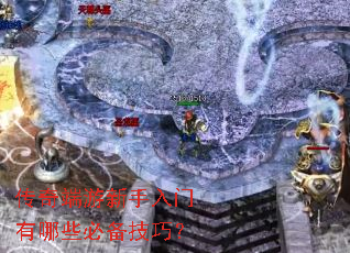 �������������������Щ�ر����ɣ�