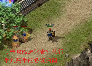 ���湥�Խ���ʷ�������ֵ����ֵıض�ָ��