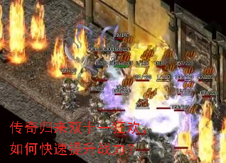 �������˫ʮһ�񻶣���ο�������ս����