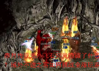 ���´�˵�����ʯ����������ʲô���ܣ����ⲻ��֮�������սȫ����ң�