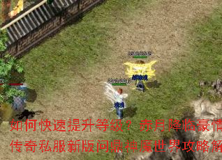 ��ο��������ȼ������½��ٺ�����ȼ����˽���°��ʶ���ħ���繥�Խ���