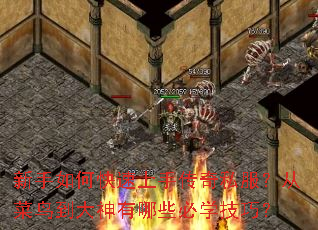 ������ο������ִ���˽�����Ӳ��񵽴�������Щ��ѧ���ɣ�