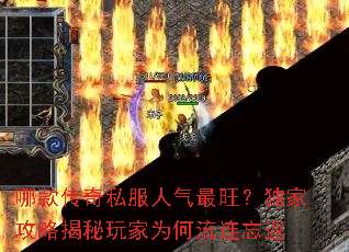 �Ŀ��˽���������������ҹ��Խ������Ϊ����������