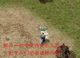 新开一秒中变传奇怎么玩?新手入门必备攻略指南 新开一秒中变传奇怎么玩?新手入门必备攻略指南