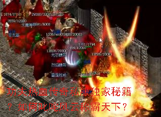 功夫热血传奇私服独家秘籍?如何叱咤风云称霸天下? 功夫热血传奇私服独家秘籍?如何叱咤风云称霸天下?