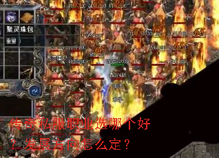 ����˽��ְҵѡ�ĸ��ã���չ������ô����