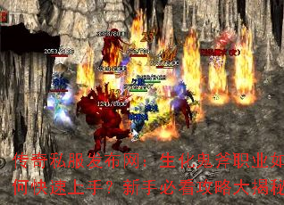 ����˽������������������ְҵ��ο������֣����ֱؿ����Դ����