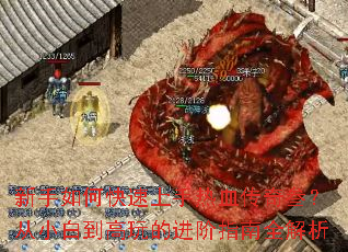 ������ο���������Ѫ����������С�׵�����Ľ���ָ��ȫ����