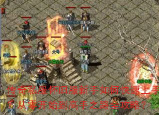 ����˽�����ɷ�������ο������֣����㿪ʼ������֮·ȫ���ԣ�