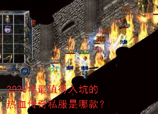 2026����ֵ����ӵ���Ѫ����˽�����Ŀ