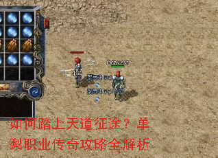 如何踏上天道征途?单梨职业传奇攻略全解析 如何踏上天道征途?单梨职业传奇攻略全解析