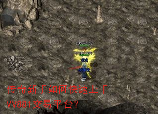 ����������ο�������VV881����ƽ̨��