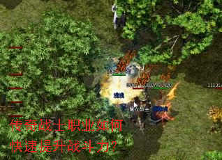 ����սʿְҵ��ο�������ս������