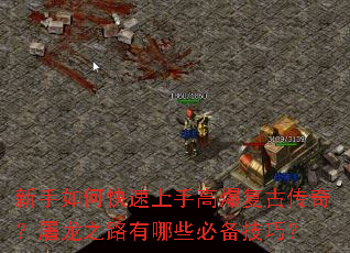 ������ο������ָ߱����Ŵ��棿����֮·����Щ�ر����ɣ�