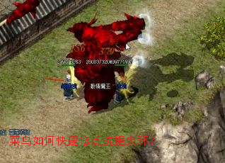 ������ο����������ܻ𻷣�