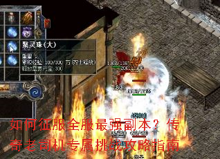 �������ȫ����ǿ������������˾��ר����ս����ָ��