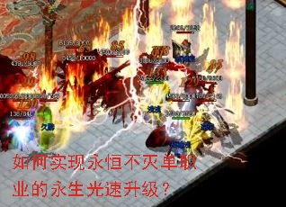 ���ʵ�����㲻��ְҵ����������������