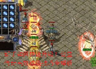 ������ο������������洫���Ч��������ȫ����