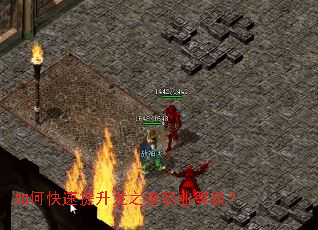 ��ο���������֮¼ְҵ�ȼ���