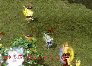 ��ο���������֮¼ְҵ�ȼ���