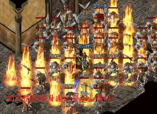 ��ο���������֮¼ְҵ�ȼ���