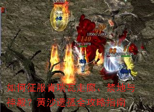 ����������������ȡ�����������ɳ�Ź�ȫ����ָ��